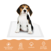 Training Pads Fluff 60x60 Saving Pack - 60 pcs
